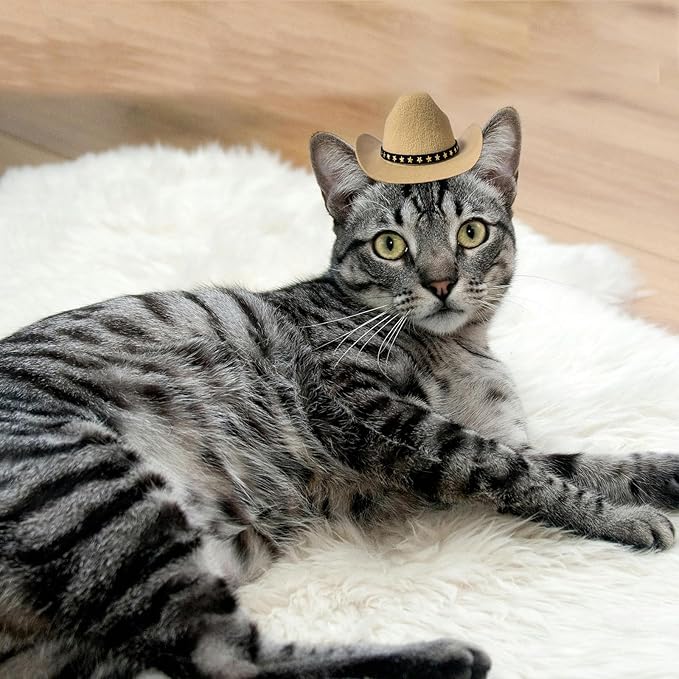 Dog Cowboy Hat Cat Cowboy Hat Mini Cowboy Hat for Dogs Cat Pet Cowboy Costume with Bandana Scarf Holiday Halloween Pet Party Decoration (Khaki, Small)