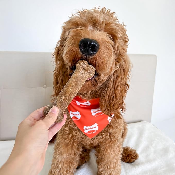 Nylabone Healthy Edibles Natural Dog Chews, Long Lasting Bones for Dogs, Ham, Bacon, & Venison Flavor Dog Treats, Medium (5 Count)
