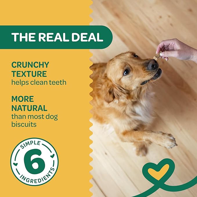 Wholesome Pride Nature's Biscuits Mini Dog Treats, Pumpkin
