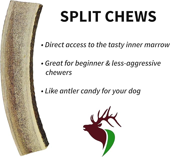 – Elk Antlers for Dogs, X Large (6-10") Split, 1 Pack, All Natural Dog Chew for X Large Dogs, Premium Naturally Shed Antler Bone for Aggressive Chewers, Sourced in The USA