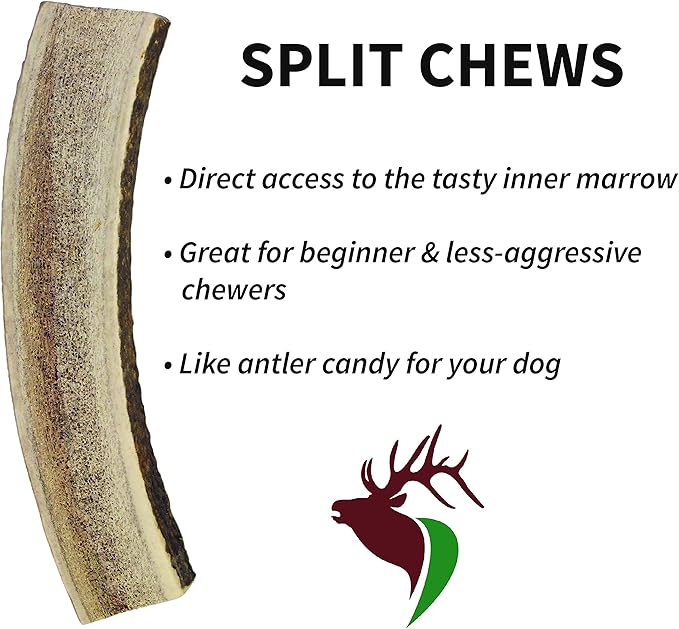 Medium Split Twin Pack (for 20-40 lb Dogs and Puppies) Premium Grade Elk Antlers for Dogs (2 Pieces) Sourced in The USA