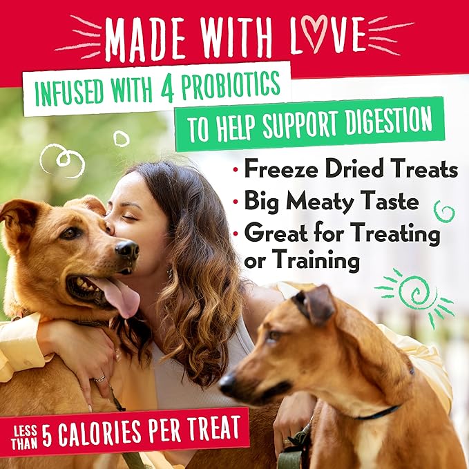 Charlee Bear Grain Free Meaty Bites Freeze Dried Dog Treats, Chicken and Blueberries, 2.25 Ounce Resealable Bag, Training Treats or Meal Topper Dogs, High Protein Dog Snacks, Made in USA