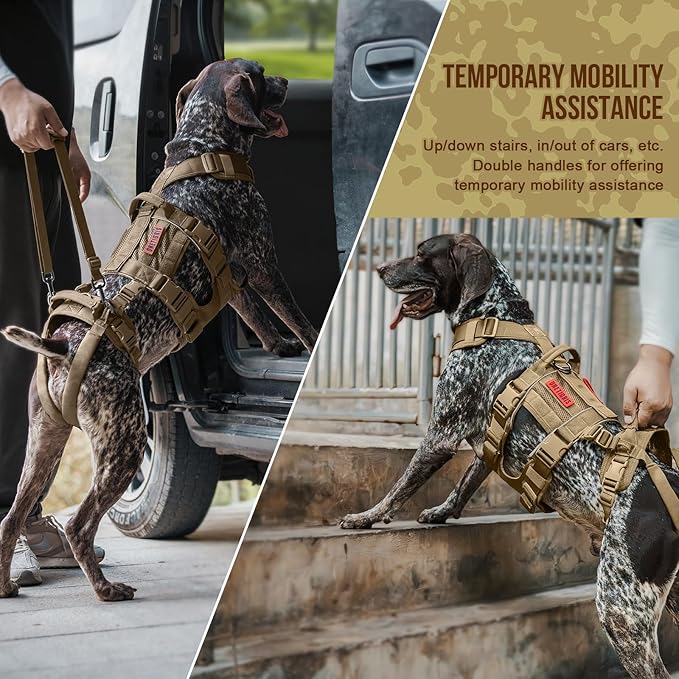 OneTigris Breathable Dog Lift Harness for Large Medium Sized Dogs, Dog Sing for Hind Leg Support, Dogs Hip Support Brace Front Leg Vrace
