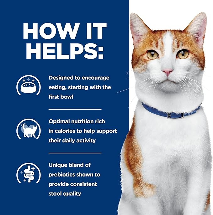 Hill's Prescription Diet ONC Care Dry Cat Food, Chicken, Veterinary Diet, 7 lb. Bag