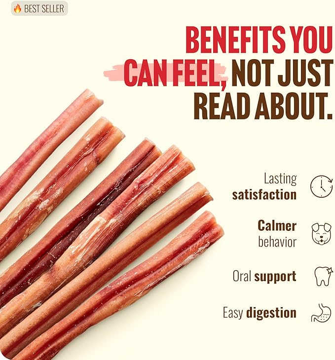 Natural Farm Odor-Free Bully Sticks (12”, 8oz) All-Natural Long-Lasting Chews, 100% Beef Pizzle, Grass-Fed, Grain-Free, Hormone-Free, Protein for Muscle Development & Energy, Perfect for Large Dogs