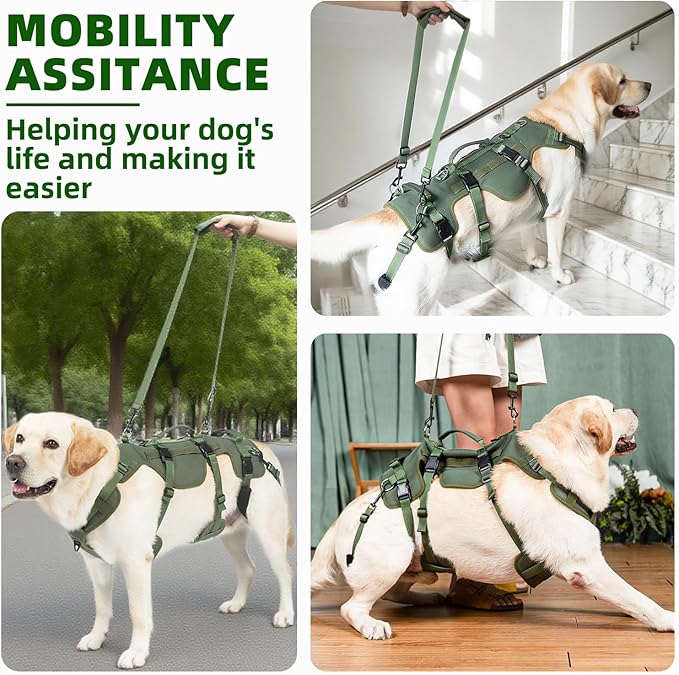 PUPTECK Dog Lift Harness for Medium Large Sized Dog, Rehabilitation Sling for Hind Leg Support, Multifunctional Mobility Assistance Harness for Old, Disabled, Joint Injuries, Paralysis Dogs, Green L