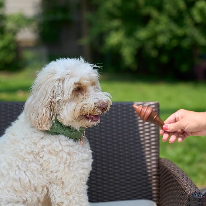 SPOT Pup Ice- Ready to Freeze at Home Dog Treats-Edible Chews for Medium Breed Dogs & Puppies with Real Chicken to Keep Your Pup Cool Year Round, Waffle Cone Strawberry Flavor, 2pcs