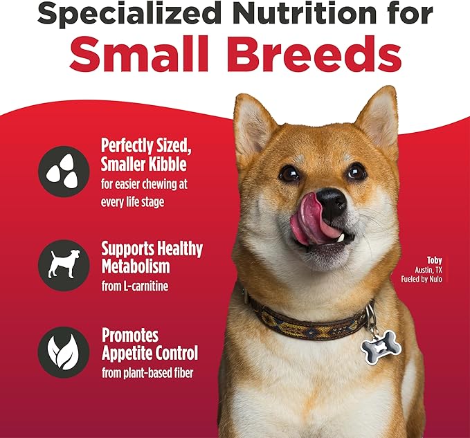 Nulo FreeStyle Small Breed Dog Food Dry - Salmon & Lentils, Puppy & Adult Grain Free Dog Food, Natural, High Protein, Smaller Sized Kibble with BC30 Probiotic for Healthy Digestion Support, 14lb