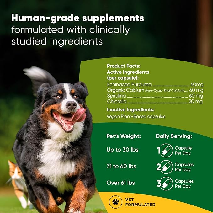 Rooted Owl Natural Immunity - Cat and Dog Immune Support - Triple Mushroom Supplement for Dogs & Cats with Reishi, Shiitake and Maitake Mushrooms - 60/ct Vegan Capsules