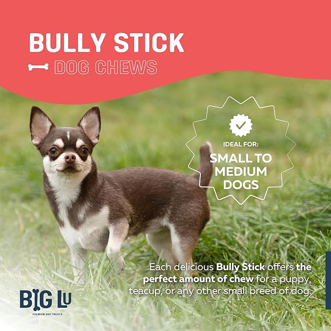 Big Lu - 4” Thick Bully Sticks, 10 Count, Long-Lasting, 100% Grass-Fed Beef Chews, for Small and Medium Dogs, Natural Single-Ingredient, Fully Digestible Treats