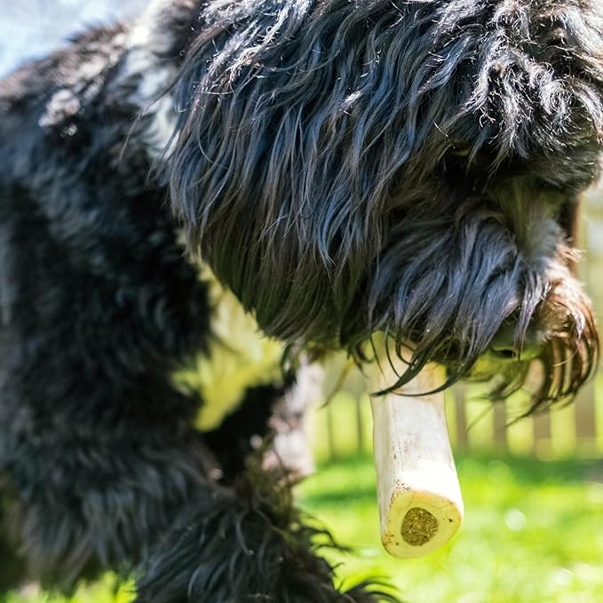 Cadet Stuffed Shin Bone, Long-Lasting Dog Chew Bones for Aggressive Chewers, High Protein Filled Bone Dental Chew for Dogs, Chicken Flavor Filling, 5-6" for Large Dogs