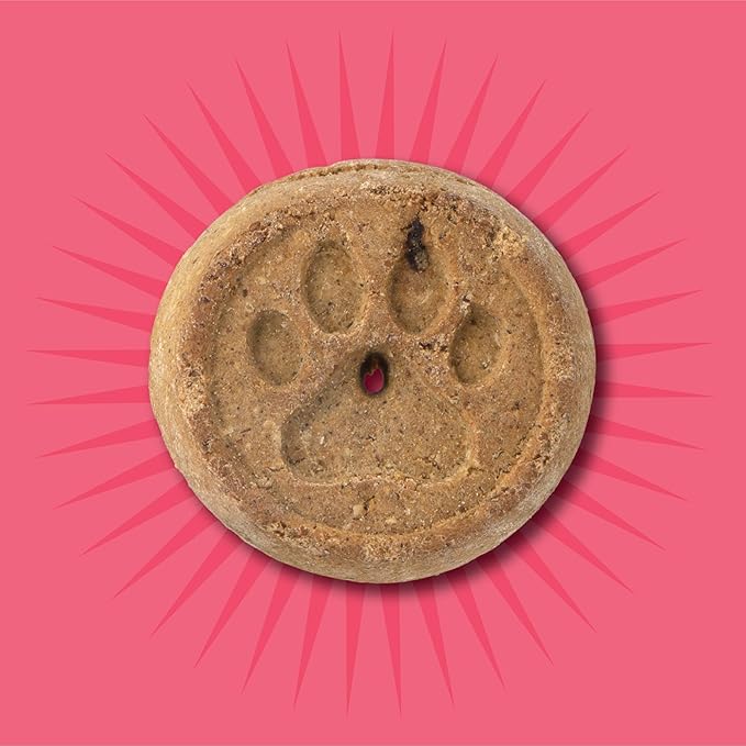 Evolve Pet Food Grain Free Deboned Salmon and Chickpea Dog Biscuits 12 Ounce (Pack of 1)