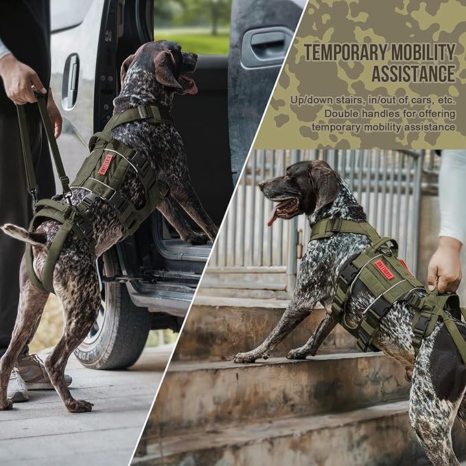 OneTigris Breathable Dog Lift Harness for Medium Sized Dogs, Dog Sing for Large Dogs Hind Leg Support, Hip Support Brace Front Leg Vrace (Green, Large)