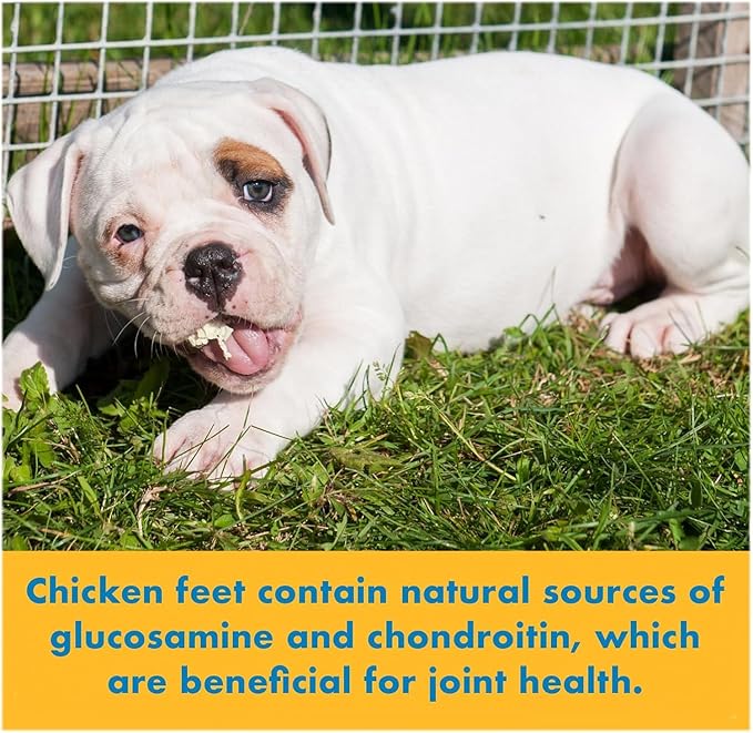 123 Treats Chicken Feet Dog Treats – 100% Natural Baked Chicken Feet for Dogs, Single Ingredient Chew Snacks, Support Joint & Dental Health | Excellent Source of Chondroitin (16 Ounces)