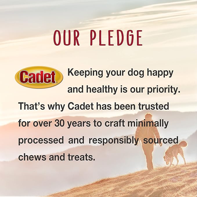 Cadet Bully Hide Sticks for Large Dogs, All-Natural Beef Pizzle, Limited-Ingredient Long-Lasting Dog Chews for Aggressive Chewers, 1 Count (Pack of 2)