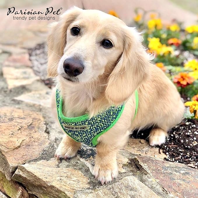 Parisian Pet Dog Harness - Breathable Mesh Green Blue No Pull Puppy Harness with Leash Ring - Adjustable Harnesses for Dogs - Soft Padded Step-in Pet Vest - Lightweight Dog Vests for Large Sized Dogs