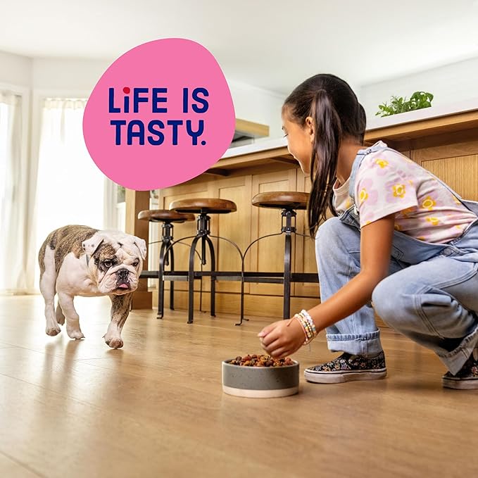 Kibbles 'n Bits Mini Bits Small Breed Dry Dog Food, Savory Bacon & Steak Flavor for Adult Dogs, 16 lb. Bag