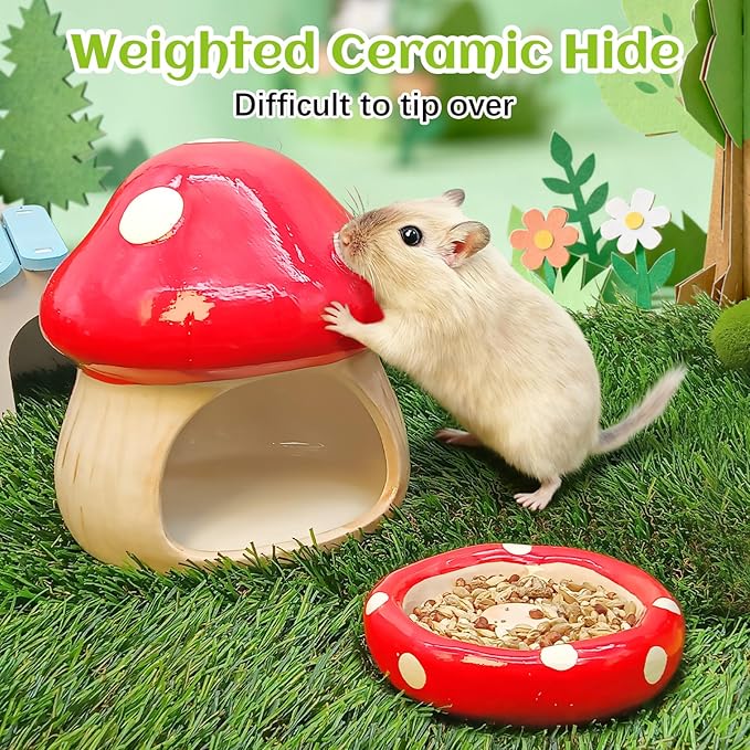 BNOSDM Ceramic Hamster Hideout and Food Bowl Set Cute Mushroom Shape Hamster House and Habitat Cool Hamsters Hide Suitable for Syrian, Mice, Dwarf Hamsters, Gerbils (Red)