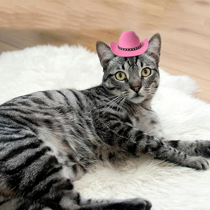 Dog Cowboy Hat Cat Cowboy Hat Mini Cowboy Hat for Dogs Cat Pet Cowboy Costume with Bandana Scarf Holiday Halloween Pet Party Decoration (Pink, Small)