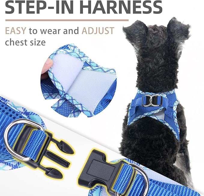 PUPTECK Dog Harness and Leash Set for Small Medium Dogs No Pull Step-in Soft Mesh Puppy Cat Vest Harnesses Reflective at Night, Blue L