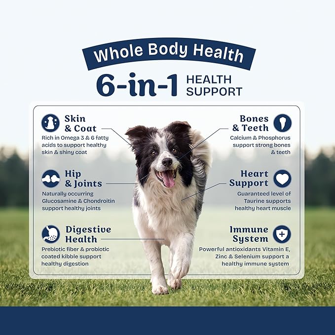 Natural Balance Health Protection Dry Dog Food – Whole Body Health, Easy on Digestion Dog Food Made with Salmon, Brown Rice & Pumpkin for Dogs - 22lbs.