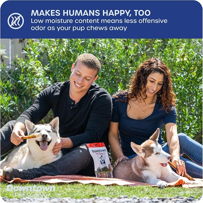 Downtown Pet Supply Jumbo Bully Sticks for Dogs - Natural Beef Chews, Low-Odor & Rawhide-Free, Long Lasting Dog Treats for Aggressive Chewers - Healthy, Safe & Delicious Chews Dogs Love (6" 24 Pack)