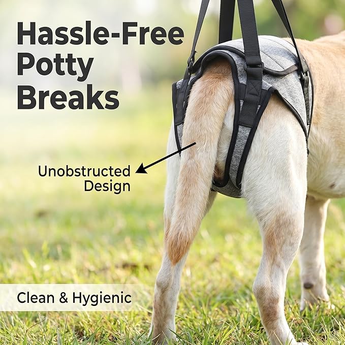 Dog Rear Leg Support Harness – Adjustable Mobility Sling for Senior Disabled Injured Dogs, Hip Joint Lift Harness for Small Medium Large Dogs, Padded Handle, Breathable & Easy to Use (M)