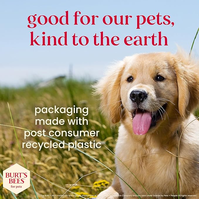 BURT'S BEES FOR PETS Dental Treats for Dogs with Manuka Honey & Ginger, Holistic, Plant-Based Oral Care, 98% Natural Origin Formulas, Peppermint Flavor, Dog Treats Small Dogs, Sz Md/Lg 10ct, 7.7 oz