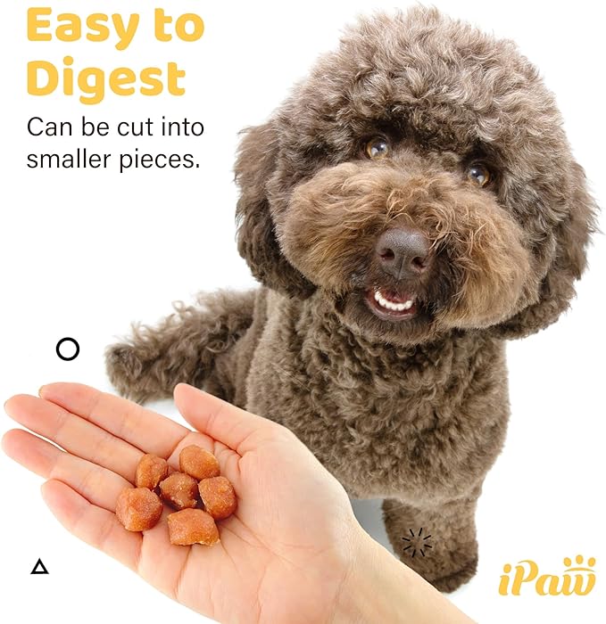 iPaw 2 Saver Combo Chicken Tots Dog Treats for Puppy Training, All Natural Human Grade Dog Treat, Hypoallergenic, Easy to Digest (Chicken Tots), 2 Packs