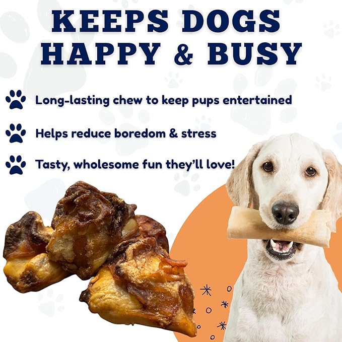 Amazing Dog Treats - Meaty Knee Cap Bones (10 Count) - Sourced from Premium Grass Fed Cattle - Knee Cap Bones for Dogs - Long Lasting Dog Chews - Smoked Tasty Dog Chews for Aggressive Chewers