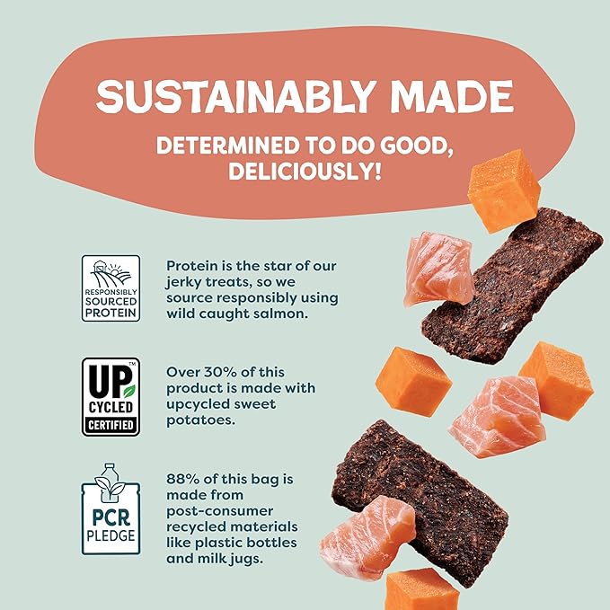 Shameless Pets Jerky Bites Treats, Salmon Loves Butternut- Healthy Dog Chews for Skin & Coat Support with Omega 3 and 6- Dog Treats with Real Wild-Caught Salmon- Free from Grain, Corn & Soy - 14 oz