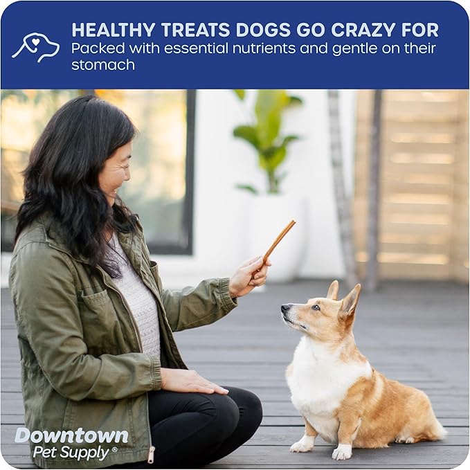 Downtown Pet Supply Bully Sticks for Dogs, Junior Size (6", 12-Pack) Rawhide Free Dog Chews Long Lasting Non-Splintering Pizzle Sticks - Low Odor Bully Sticks for Small Dogs