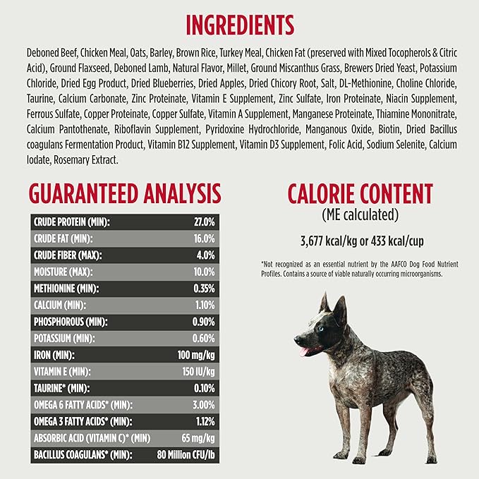 Nulo Frontrunner Dry Dog Food - Adult High-Protein Beef, Barley & Lamb Recipe, Natural Kibble with Ancient Grains, Probiotics, Taurine, Omega 3 for Small, Medium and Large Breeds, 5lb Bag