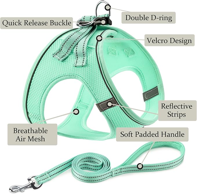 Dog Harness with Leash Set, No Pull Adjustable Reflective Step-in Puppy Pet Vest Harnesses for Small Medium Large Dogs and Cats,Green M
