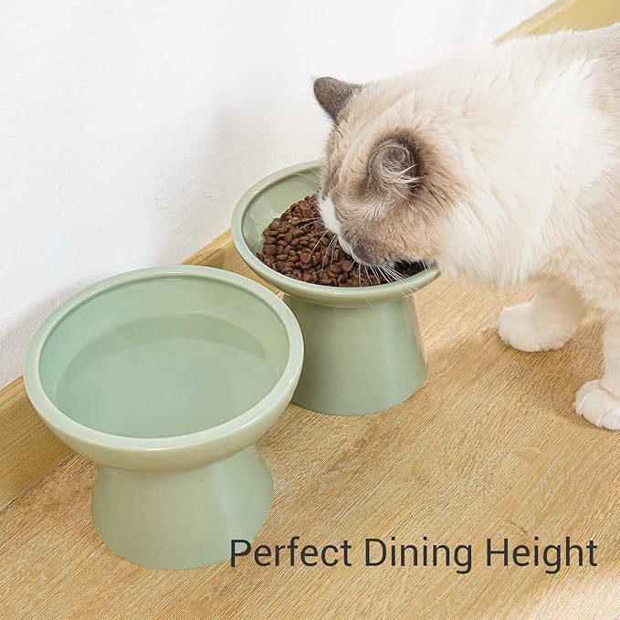 CEEFU Extra Wide Elevated Ceramic Cat Water Bowl - 6.2" Deeper Dish for Whisker Fatigue Relief, 5" Height for Easy Feeding, Lead & Cadmium Free, Durable Raised Cat Bowls, Green