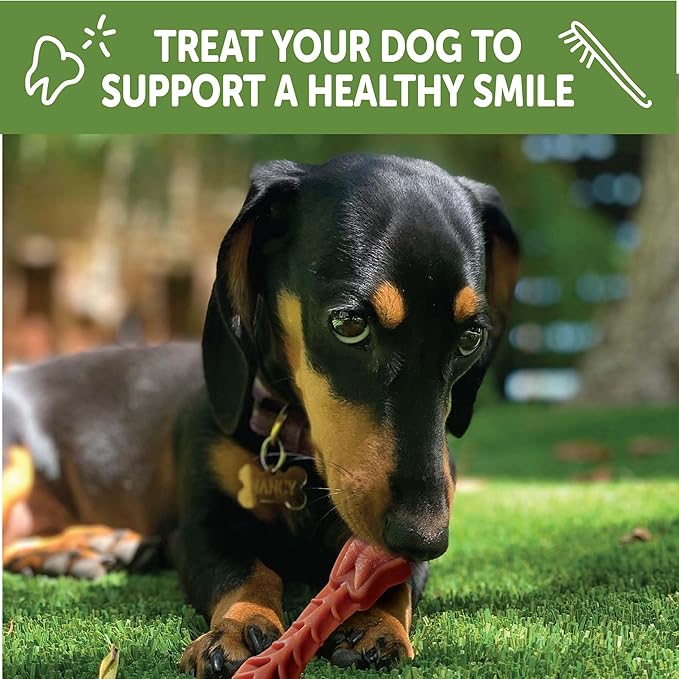 WHIMZEES Wellness Daily Brushzees Dog Dental Treats, Extra Small Size Stick, (28 Count)