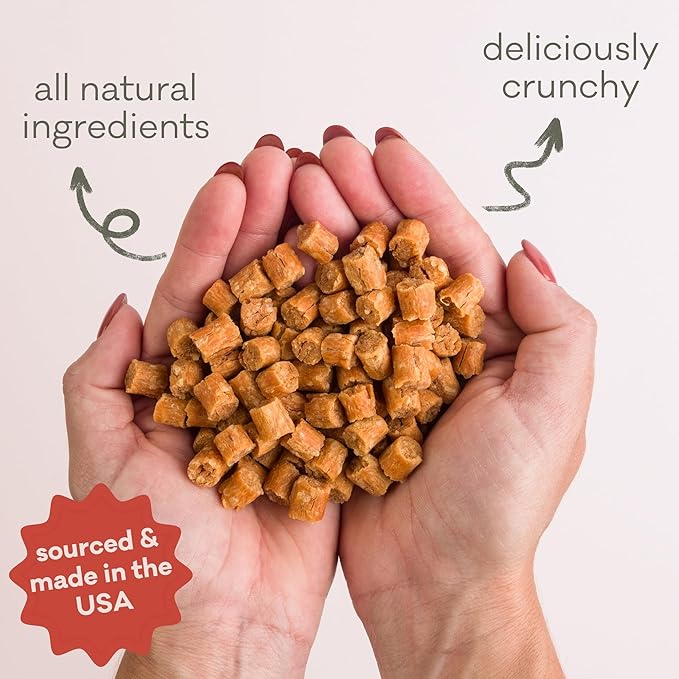 Polkadog Salmon Says Crunchy Training Bits - All Natural, Limited Ingredient, Premium Training Treats for Dogs, Omega-3 Rich. Great for Allergies, Handcrafted in USA - 7oz (1pk)