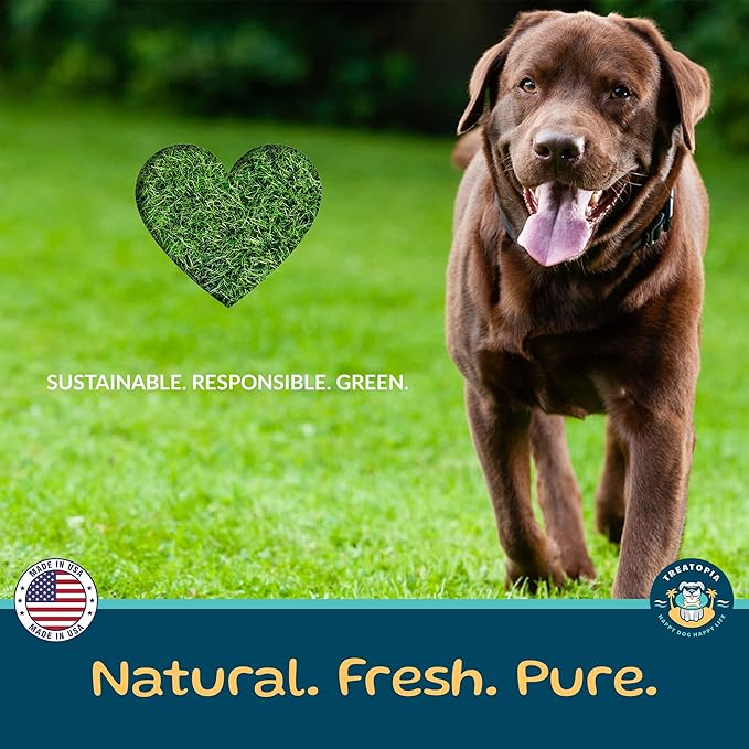 TREATOPIA Adventure Dog Bones, Delights, 1-2”, 32 PC - All-Natural, Center-Cut, Long-Lasting, Healthy, Single Ingredient, Bone Marrow, Hand-Trimmed, Slow-Roasted, Made in The USA, No Additives