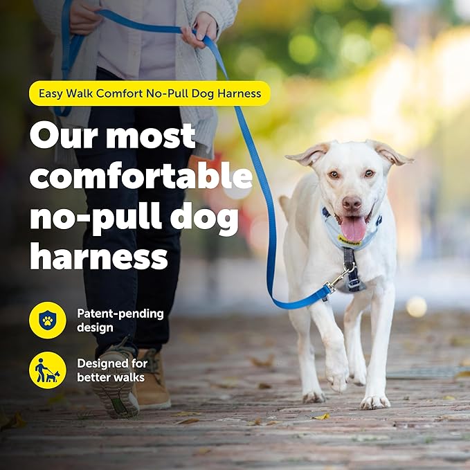 PetSafe Easy Walk Comfort No-Pull Dog Harness Full-Body Padding - Better Walks on the First Use - 5 Points of Adjustment X-Small, Green