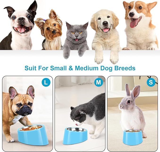 Tilted Dog Bowl Non-Slip & Non-Spill Pet Feeder with Elevated Detachable Melamine Stand, Easy to Get Food Dog Dish, L/300ml Sky Blue