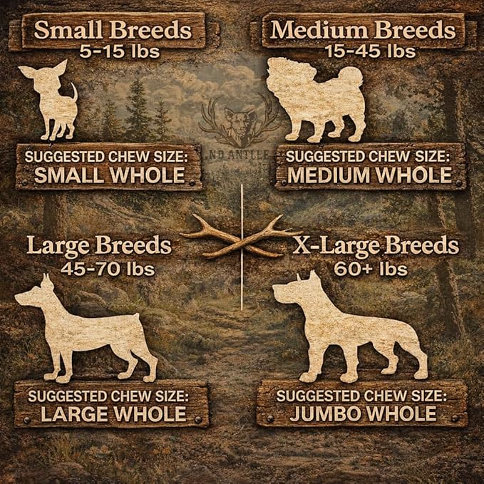 Elk Antlers for Dogs – Large Whole (7.5-9 Inch), Durable Chew for Aggressive Chewers, USA Sourced, Naturally Shed & Ethically Harvested