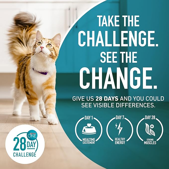 Purina ONE Natural, Low Fat, Weight Control, Indoor Dry Cat Food, +Plus Indoor Advantage - 22 lb. Bag