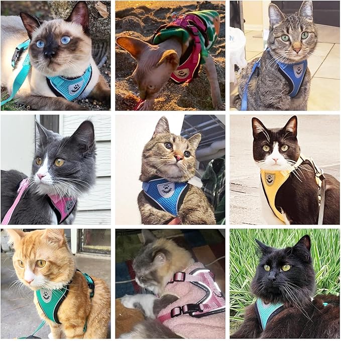 PUPTECK Cat Harness and Leash Set Escape Proof Reflective Cat Walking Harness Adjustable Soft Breathable Mesh Vest for Small Pets, Sky Blue, XS
