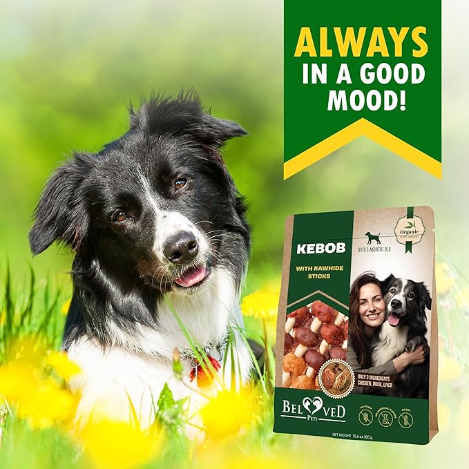 Beloved Pets Dog Treats Rawhide Kabobs with Duck & Chicken Human Grade Meat 10.6 Oz - All Natural & Dried Snacks - Grain Free Long Lasting Chews for Large & Small Dogs - Best Sticks for Training