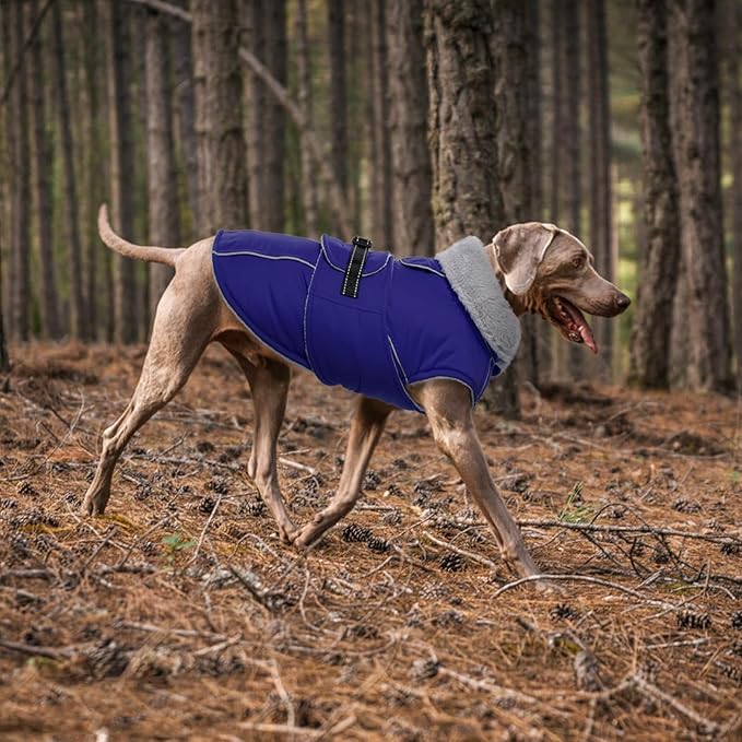 Lelepet Warm Dog Coat Reflective Fleece Vest Waterproof Dog Jacket with Adjustable Buckle Hook & Loop Windproof Cold Weather Coats for Small Medium Large Dogs, Blue, L