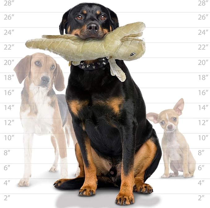 MIGHTY- Massive - Squeaker-Multiple Layers. Made Durable, Strong & Tough. Interactive Play Dog Toy (Tug, Toss & Fetch). Machine Washable & Floats. (Rabbit, Massive 2 Pack)