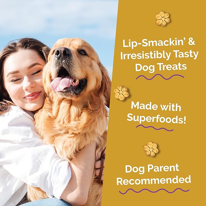 Fruitables Baked Dog Treats, Healthy Pumpkin Treat for Dogs, Low Calorie & Delicious, Made Without Wheat, Corn and Soy, Made in The USA, Allergy Friendly, Chicken and Cranberry Flavor, 12 oz