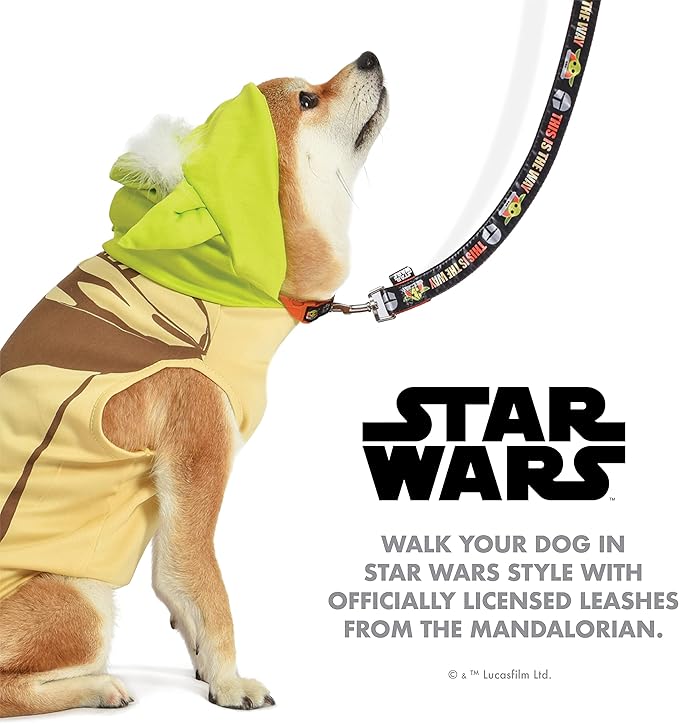 Star Wars The Mandalorian This is The Way Dog Leash - Cute Dog Lead Easily Attaches to Any Collar or Harness - Officially Licensed Pet Walking Leash, 4 Foot (48 Inch) (Pack of 2)