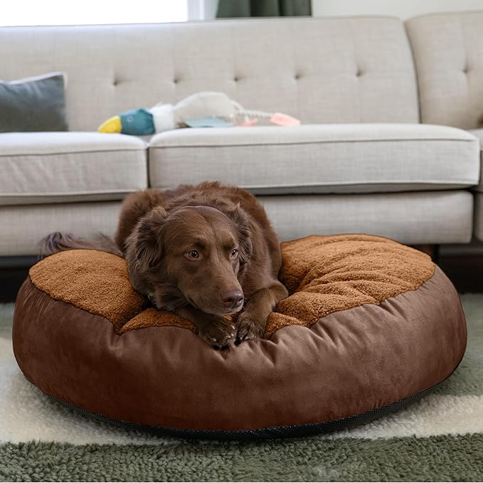 JAXX Robbi Dog Bed Bean Bag – Round Bed with Machine Washable Cover and No-Slip Base - Supportive Memory Foam for Senior Dogs & Joint Pain Relief-Ultimate Comfort & Luxury - Medium, Caramel/Chocolate