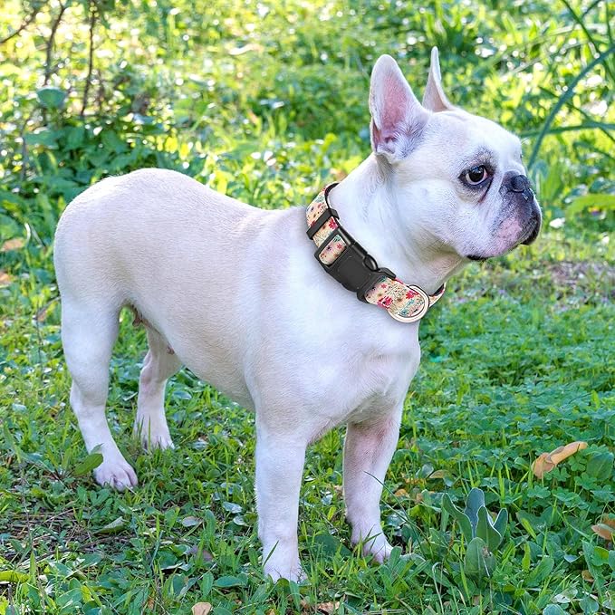 Reflective Dog Collar Padded with Soft Neoprene Breathable Adjustable Nylon Dog Collars for Small Medium Large Dogs (Large (Pack of 1), Vanila/Pink Floral Collar+Leash)